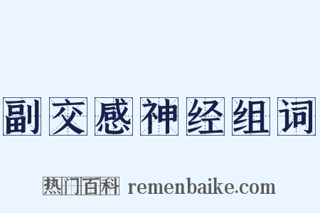 副交感神经组词是什么意思的图片
